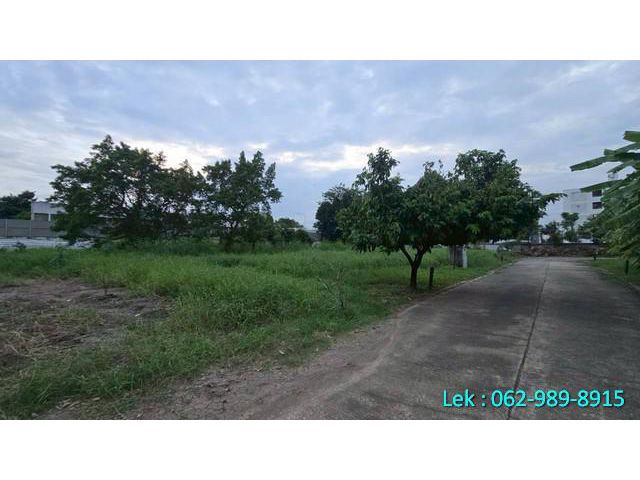 ขายที่ดินแปลงสวย  หมู่บ้าน Beverly Hill ดอนเมือง เนื้อที่ 499.1 ต