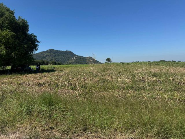 โฉนดครุฑแดง 11ไร่