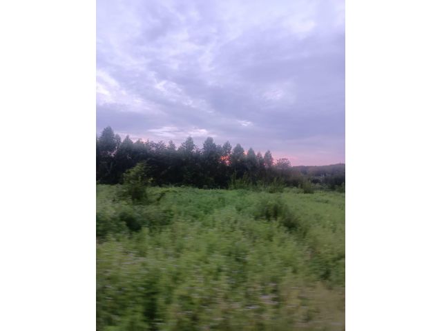 L1279 ขายที่ดิน 16 ไร่ นาดี ปราจีนบุรี