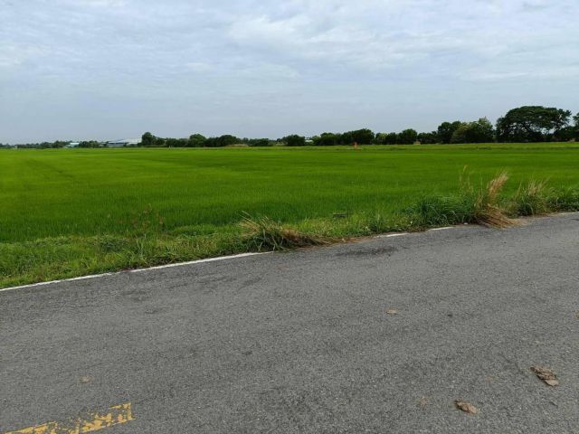 L1281 ขายที่นา ยกแปลง/แบ่งขาย 10 ไร่ คลองหลวง ปทุมธานี