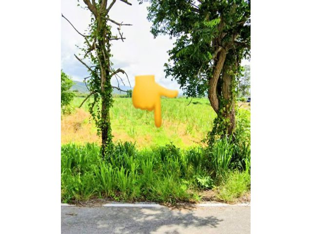 ที่ดินถูก ติดถนนลาดยาง มีไฟฟ้า ไร่ละไม่ถึงแสน อุตรดิตถ์