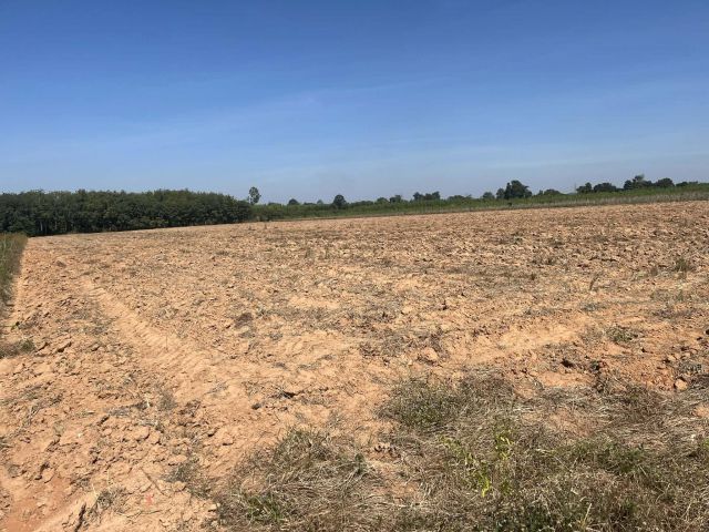 L1801 ขายที่ดินสวยทำเลดี 10 ไร่ พนมสารคาม ฉะเชิงเทรา