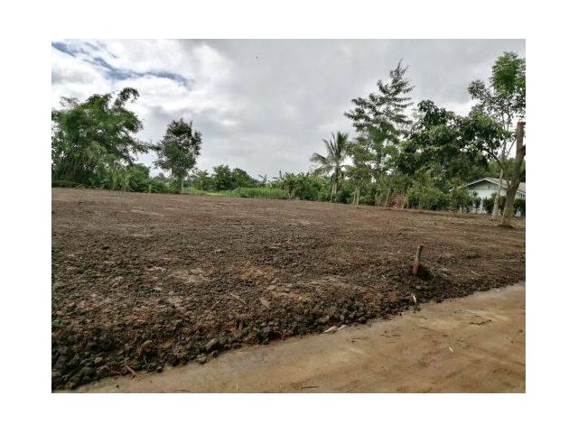 ขายที่ดินสำหรับสร้างบ้านพักอาศัย ทำเลดี วิวธรรมชาติสวย อ.เชียงแสน จ.เชียงราย