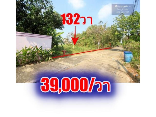 ที่ดินบรมราชชนนี62 อัศวพิเชษฐ์12 สวนผัก43 หมู่บ้านทิมเรืองเวช 132ตารางวา เหมาะสร้างบ้าน เดินทางสะดวก ตรงข้ามสายใต้ใหม่