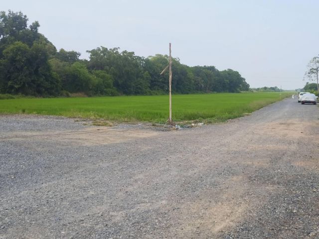 ขายที่ดินคลอง 12 ธัญบุรี