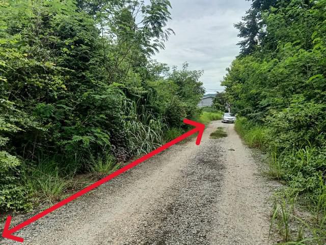 ขายที่ดินเปล่า 186ว. 651,000บ. ซุปเปอร์2.2กม. ป่าสัก เมืองลำพูน