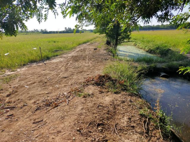 ให้เช่าที่ทำบ่อเลี้ยงกุ้งปลา 27-60ไร่ ไร่ละ5000-/ปี ต.บางเลน อ.สองพี่น้อง จ.สุพรรฯเช่ายาวได้ค่านายหน้าไร่ละ2000-