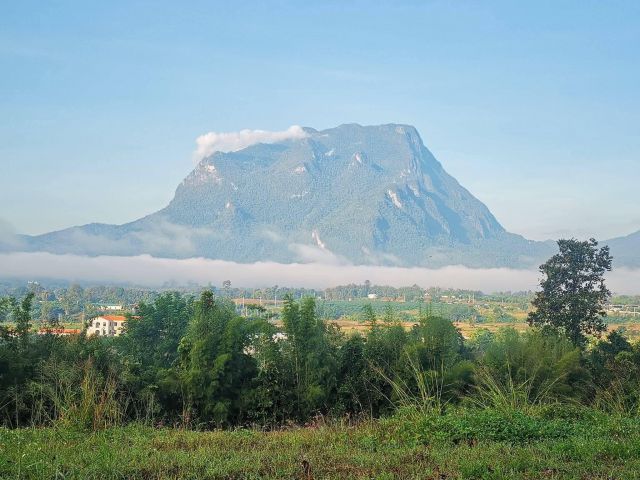 ขายที่ดินตำบลเชียงดาววิวดอยหลวงติดถนนสองด้านพร้อมโอน