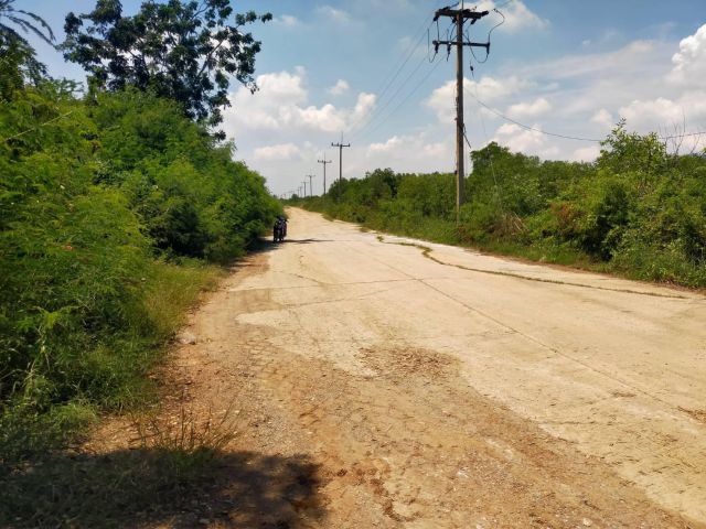 ขายที่ดินพื้นที่สีม่วง2-200-ไร่ ไร่ละ1.8ล้าน อ.บางปลาม้า จ.สุพรรฯเหมาะทำโรงงาน/โกดัง.ใก้ลถนน340