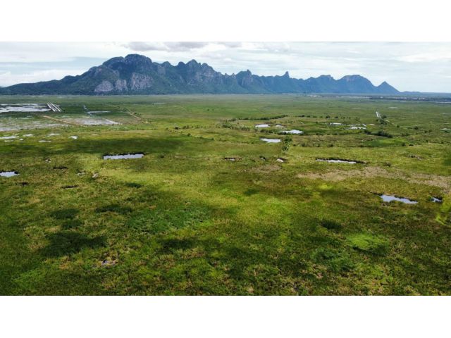 ขายที่ดินโฉนด2000-ไร่ไร่ละ250000-หน้าติดรถไฟรางคู่ หลังติดอุทยานสามร้อยยอด อ.สามร้อยยอด จ.ประจวบฯเหมาะทำสนามกอล์ห/ฟาร์ม/ที่จัดสรร