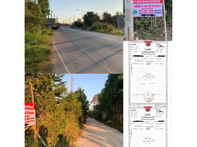 "ขายที่ดินแปลงสวย ใกล้ถนนใหญ่ ราคาถูก"