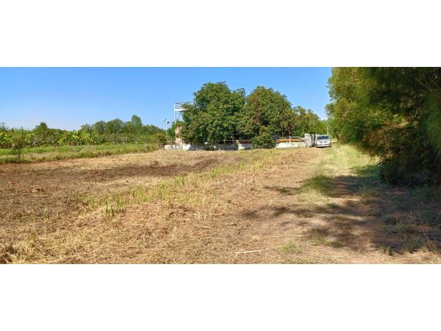 ขายที่ดินด่วน 2ไร่ อ.วิหารแดง ลดราคายกแปลงจาก 1,200,000บาทเหลือ 1,100,000บาท