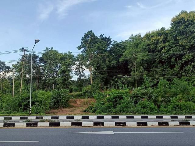 ขายที่ดิน2-3-81ไร่ 8.3ล. บายพาสเยื้องโรงโม่ ผาสิงห์ เมืองน่าน