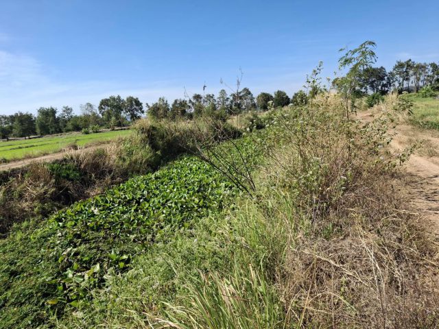 ขายด่วน!!!!! ที่ดินแปลงเล็กโฉนด 1-3-91 ไร่ ติดน้ำ วิวภูเขาล้อมรอบที่ ต.ชำผักแพว อ.แก่งคอย จ.สระบุรี ไร่ละ 500,000.-