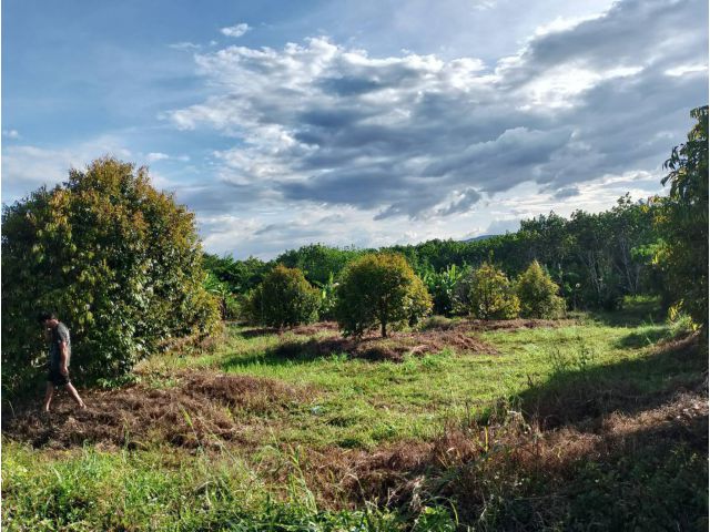 L1802 ขายที่ดินสวยทำเลดี 24 ไร่ ทองผาภูมิ กาญจนบุรี