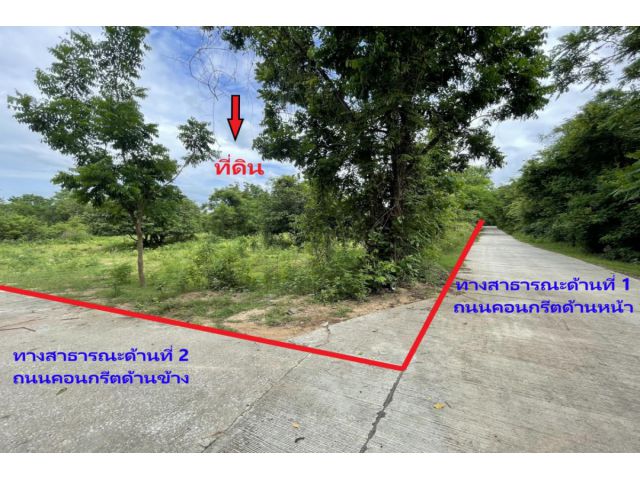 ขายที่ดินต่ำกว่าราคาประเมินกรมที่ดินเมืองตาก (แถมฟรี 17 ตรว.)