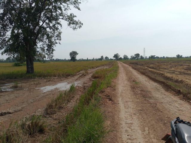 ที่ดิน 16 ไร่ นส.3 ก.ราคาไร่ละ85,000฿