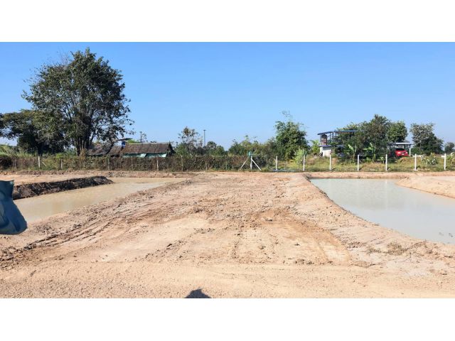 (โฉนด) ที่ดิน 600-800 ตรว.ละ 722 บ. รั้ว (ขุดบ่อ ทำสวนนา) ทางถนนหินคลุก น้ำประปาบาดาล ม.4 (ซอยวัดหนองกะมาน 1 กม.) ต.สระกระโจม อ.ดอนเจดีย์ จ.สุพรรณบุรี