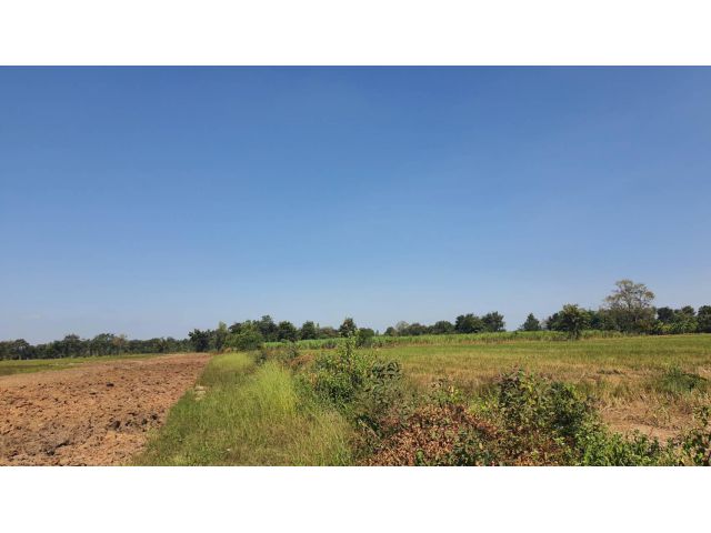 (โฉนด) ที่ดิน 600-800 ตรว.ละ 722 บ. รั้ว (ขุดบ่อ ทำสวนนา) ทางถนนหินคลุก น้ำประปาบาดาล ม.4 (ซอยวัดหนองกะมาน 1 กม.) ต.สระกระโจม อ.ดอนเจดีย์ จ.สุพรรณบุรี