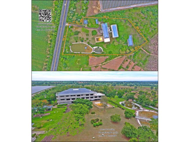 ขายที่ดินพร้อมสิ่งปลูกสร้าง 17 ไร่ ติดถนนใหญ่ เจ้าของขายเอง อ.โชคชัย จ.นครราชสีมา