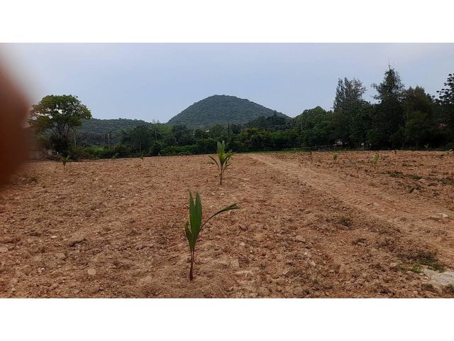 ขายที่ดินแปลงงามใกล้ทะเล-ใกล้เขารอบด้าน ติดถนน2ด้านมีประปามีไฟฟ้าผ่าน ด้านหลังติดเนินเขาเล็กๆ ที่ดินเป็นโฉนด2ฉบับเนื้อที่5ไร่กว่า ที่ดินอยู่ใกล้เขากระโหลก-ปากนํ้าปราณฯ