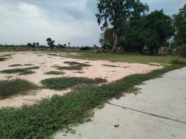 L1284 ขายที่ดินถมแล้ว 1 ไร่ โนนไทย นครราชสีมา