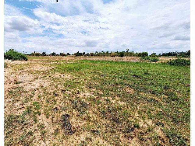 L1285 ขายที่ดิน 10 ไร่ โนนไทย นครราชสีมา