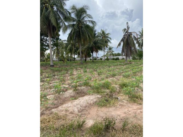 L1293 ขายที่ดินติดนิคมฯโรจนะ แหลมฉบัง 7 ไร่ หน้ากว้าง 147 เมตร บางละมุง ชลบุรี