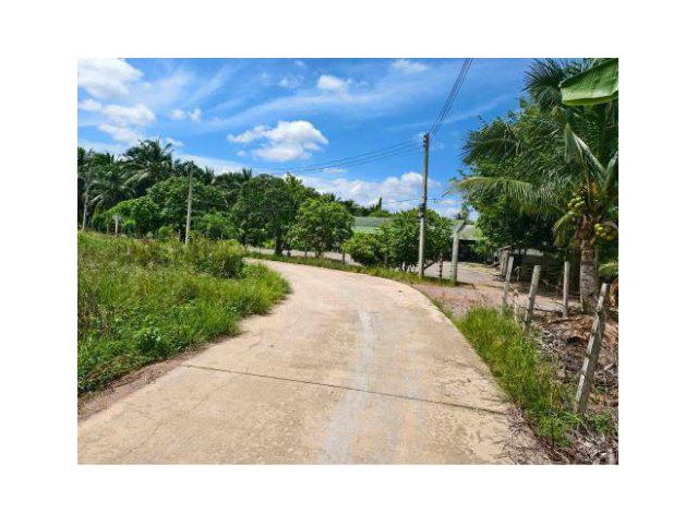 ขายบ้านนพร้อมที่ดิน 14 ไร่ ต.บ้านไร่ อ.ดำเนินสะดวก จ.ราชบุรี