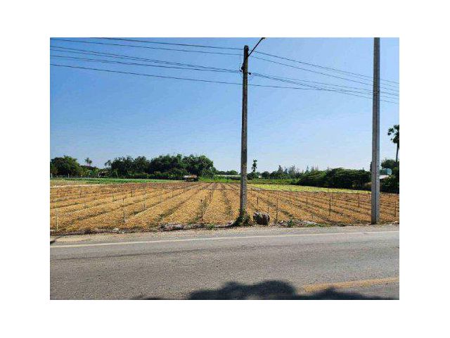 ขายที่ดิน 6 ไร่ ต.มาบแค อ.เมืองนครปฐม จ.นครปฐม