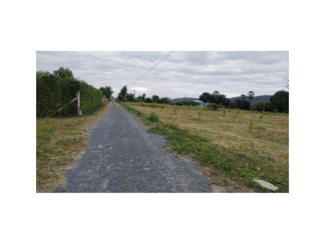 ขายที่ดิน 2 ไร่ ภูเขาล้อมรอบ ต.หนองประดู่ อ.เลาขวัญ จ.กาญจนบุรี