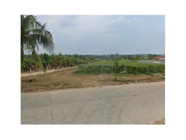 ขายที่ดิน 4 ไร่ ต.หนองไผ่แก้ว อ.บ้านบึง ชลบุรี