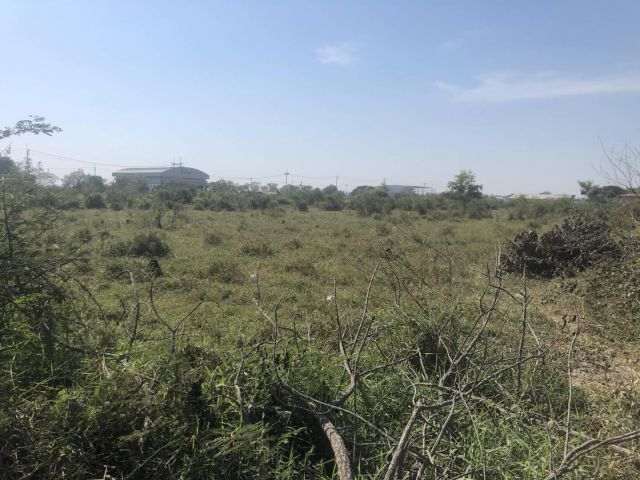 L1297 ขายที่ดินใกล้ถนนสุวินทวงศ์ 2 ไร่ เมืองฉะเชิงเทรา