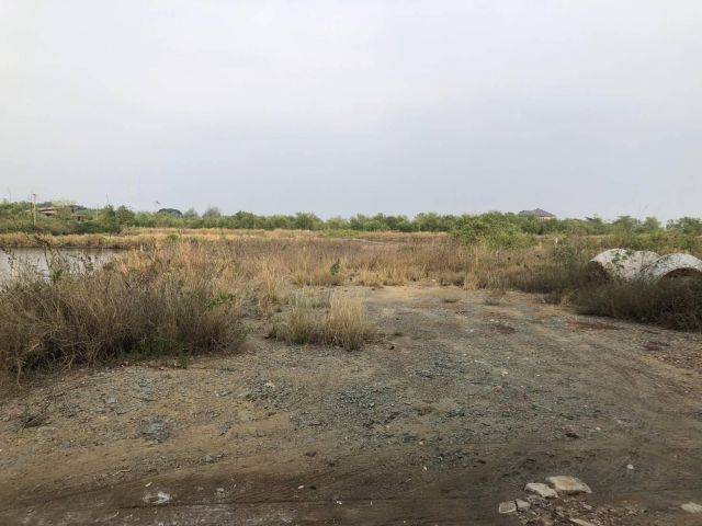 L1298 ขายที่ดินถมแล้ว 108 ตรว เมืองสมุทรสงคราม