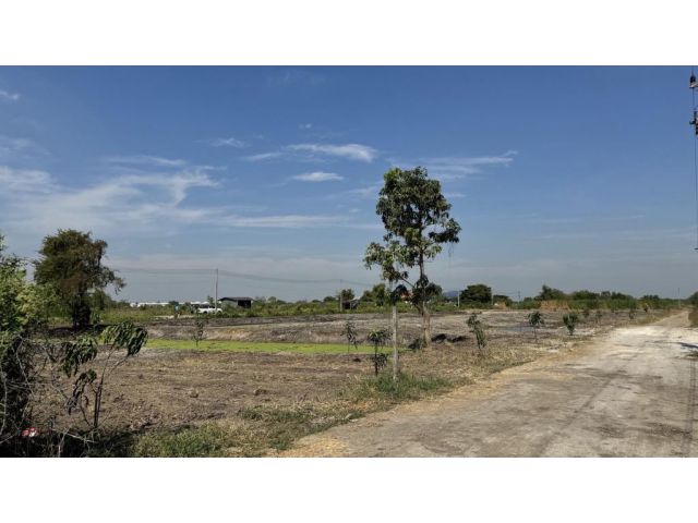 ขายที่ดิน 5 ไร่ ลำลูกกา คลอง 12 ทำเลดี ติดแหล่งชุมชน