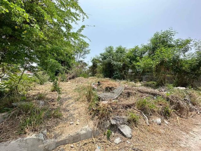 L1301 ขายที่ดินใกล้ท่าเรือแหลมฉบัง 122 ตรว บางละมุง ชลบุรี