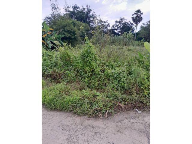 L1789 ขายที่ดินวิวภูเขาอากาศดี 2 ไร่ เมืองนครนายก