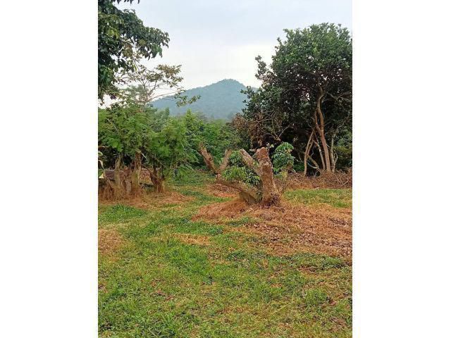 ขายที่ดินวิวเขาแปลงสวยรูปสี่เหลี่ยม349ตารางวา ใกล้อ่างเก็บน้ำห้วยลาน แลนด์มาร์คของอ.สันกำแพง ตั้งอยู่ที่ ต.ออนใต้