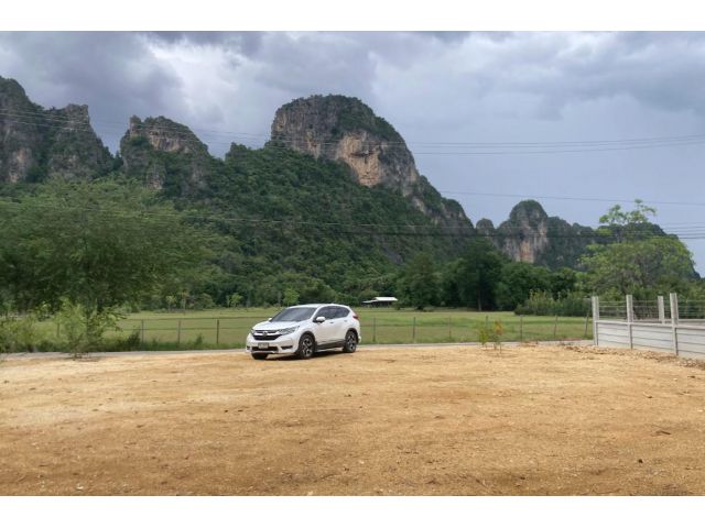 ขายที่ดินเปล่าติดถนน วิวภูเขา 100 ตารางวา