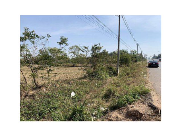 ขายที่ดิน 20 ไร่ ติดถนนนสี่เลน ต.คำป่าหลาย อ.เมืองมุกดาหาร มุกดาหาร