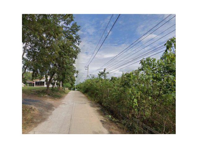 ขายที่ดิน 9 ไร่ เขาใหญ่ ต.หนองน้ำแดง อ.ปากช่อง นครราชสีมา