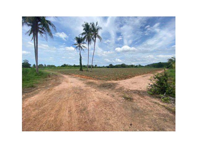 ขายที่ดิน 8 ไร่ บ้านหนองไผ่ ต.ทับใต้ อ.หัวหิน จ.ประจวบคีรีขันธ์