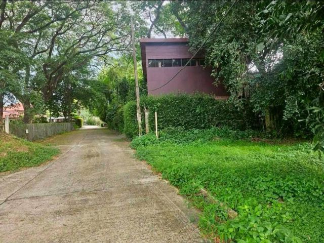 ขายที่ดินตำบลสันผีเสื้อใกล้รวมโชคหมู่บ้านริมน้ำพร้อมโอน