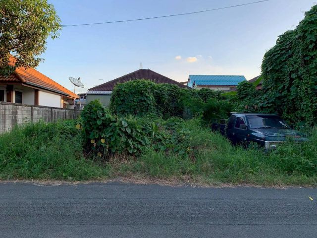 ขายที่ดินตำบลช้างเผือกซอยมหาโชค ซอย 17 พร้อมโอน