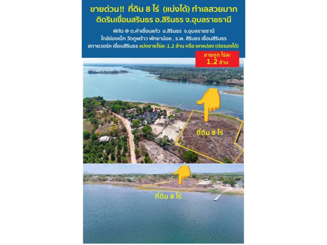 **ปลอดภัยจากแผ่นดินไหว และน้ำไม่ท่วม*** ขายที่ดินสวยมาก 8 ไร่ (แบ่งได้) ริมเขื่อนสิรินธร อ.สิรินธร จ.อุบลราชธานี ทำเลสวย