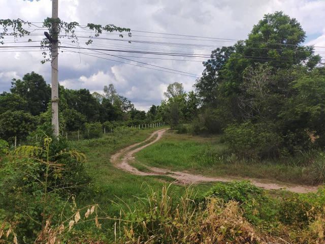 L1304 ขายที่ดินสวยทำเลดี 1 ไร่ จอมบึง ราชบุรี