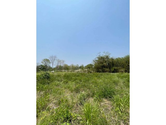 L1305 ขายที่ดินเขาใหญ่ 3 ไร่ ปากช่อง นครราชสีมา