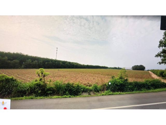 L1306 ขายที่ดินสวยทำเลดี 31 ไร่ ใกล้ตัวอำเภอบ่อทอง ชลบุรี