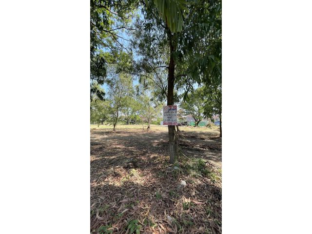 ขายที่ดินเปล่าเขตคลองสามวา โครงการ Forest Park