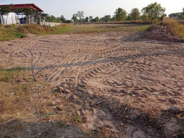 L1312 ขายที่ดินสวยทำเลดี 10 ไร่ ใกล้ตัวอำเภอบรบือ มหาสารคาม